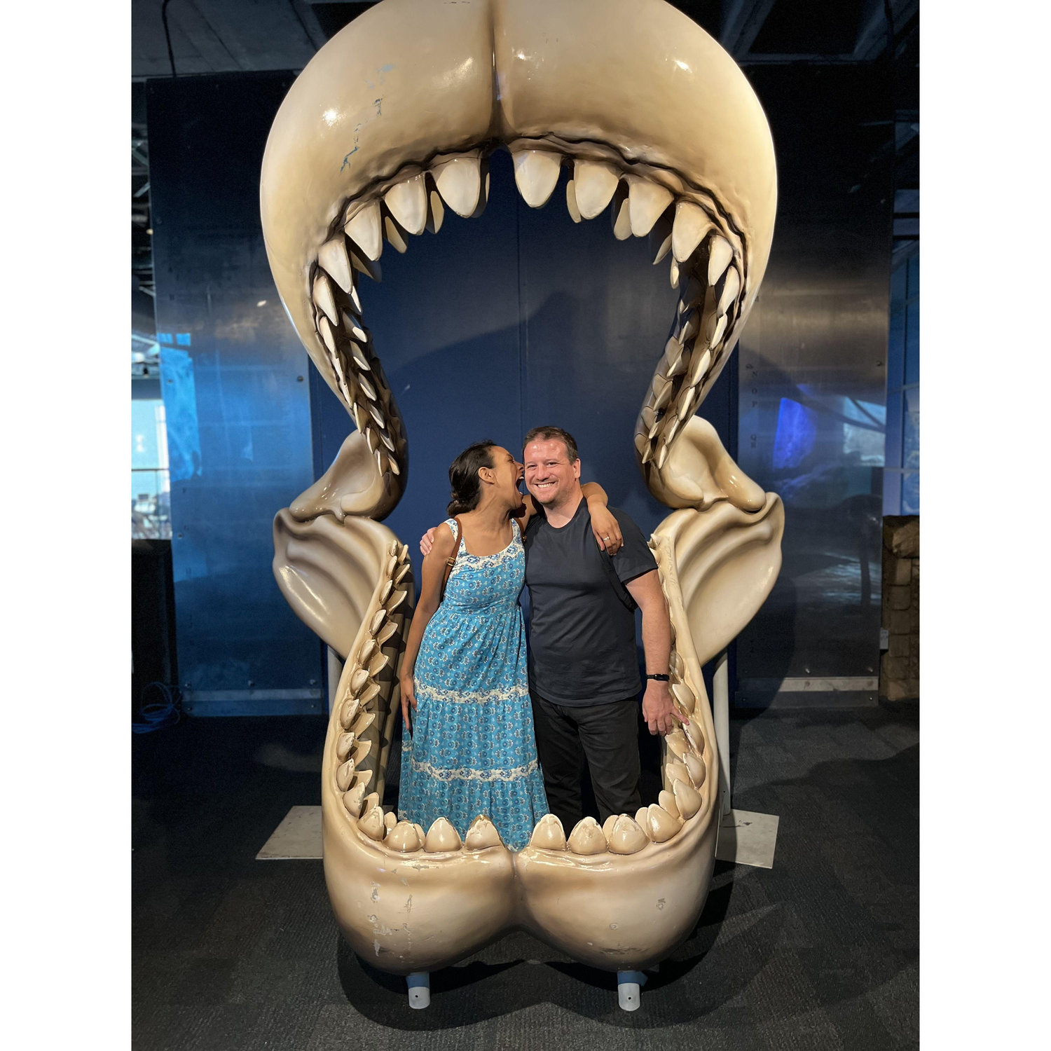 Just a couple of sharks... :P