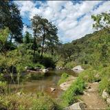 Bosque de la Primavera