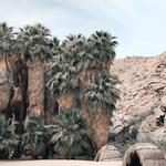 Indian Canyon