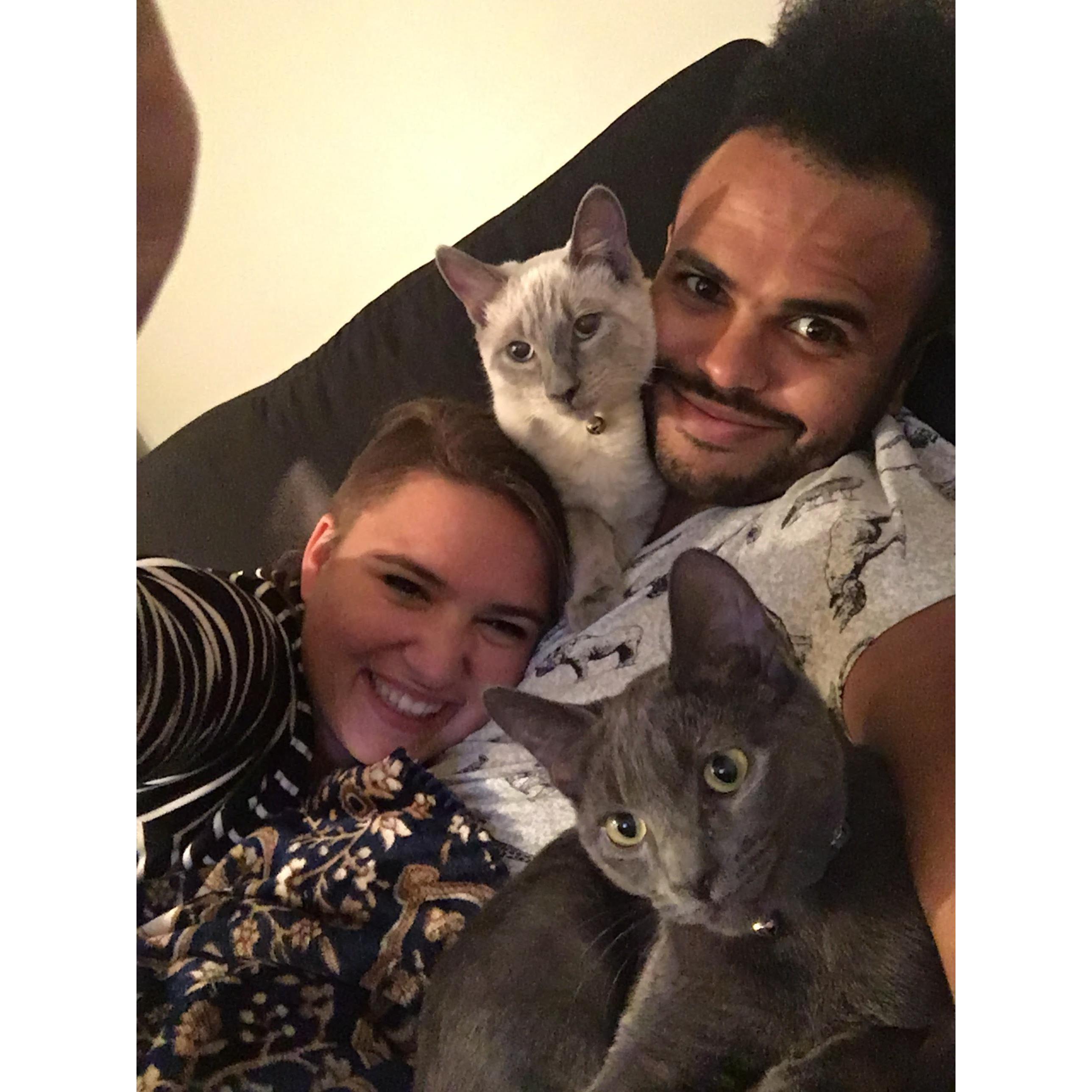 Kittens!