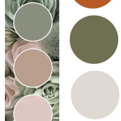 Color Scheme