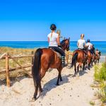 Tours on Horseback 🐴