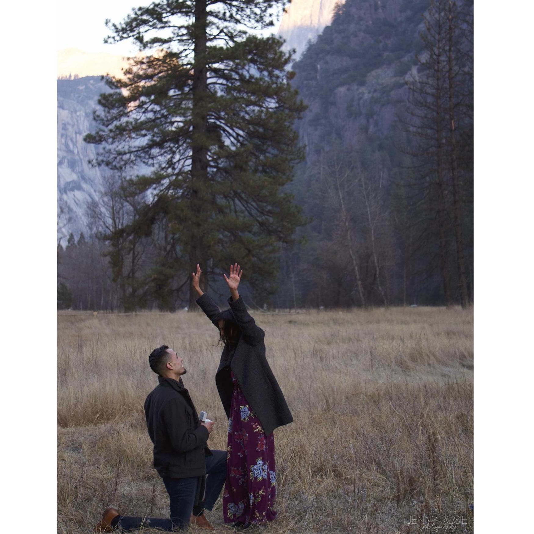 She said YES!