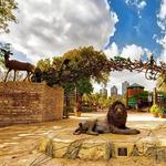 Lincoln Park Zoo