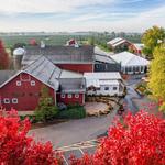Edwards Apple Orchard