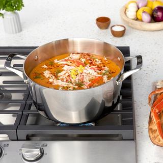 Premier Stainless Steel Stock Pot with Lid