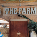 The Las Vegas Farm and The Farm Experience