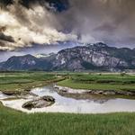 Squamish Estuary