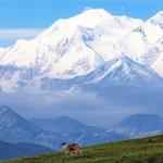 Denali National Park and Preserve