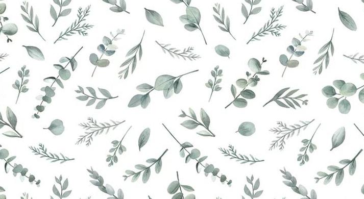Footer image