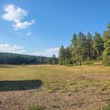 Walk or Disc Golf at Cloman Park