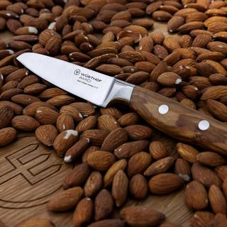 Amici Paring Knife