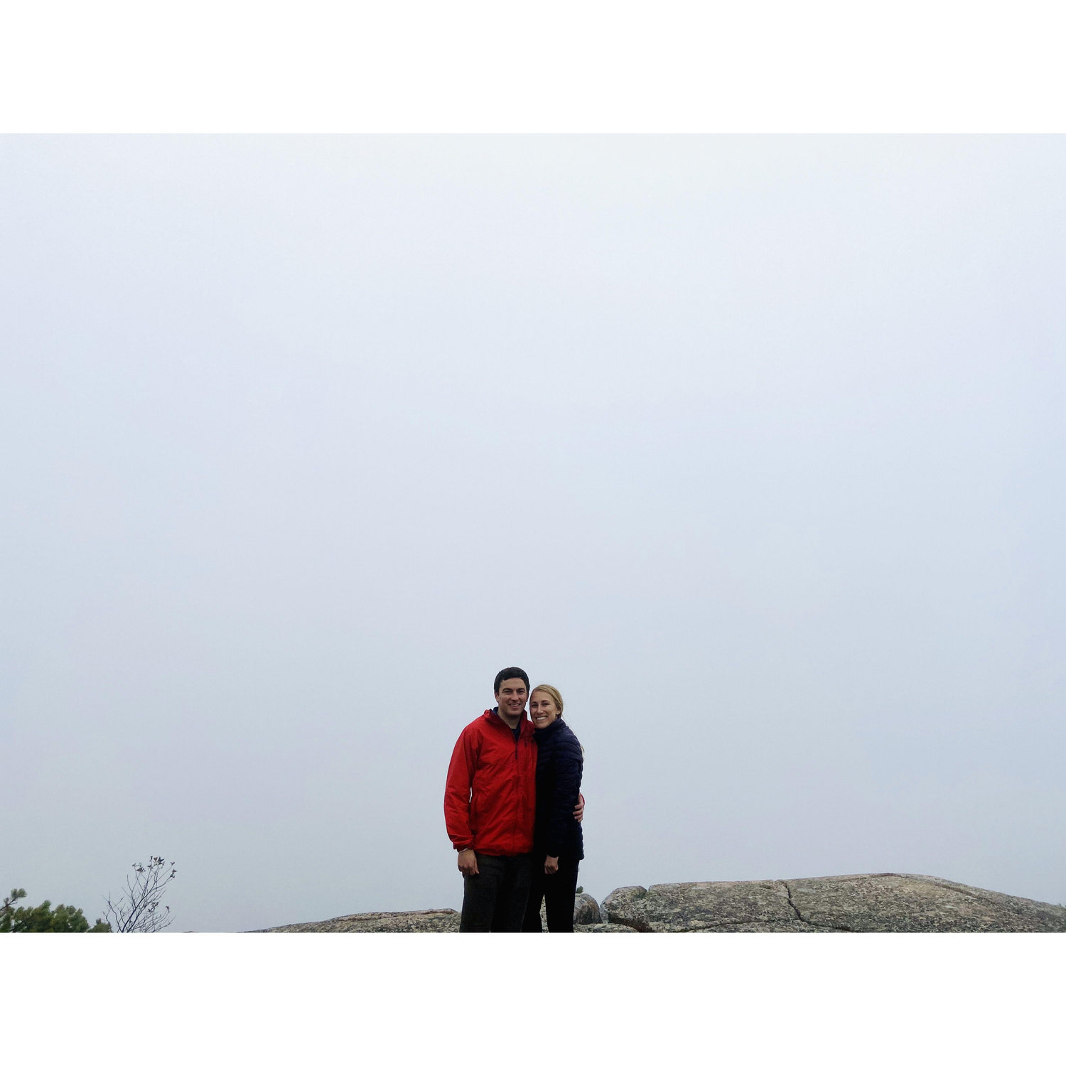 Views from Acadia (2019)