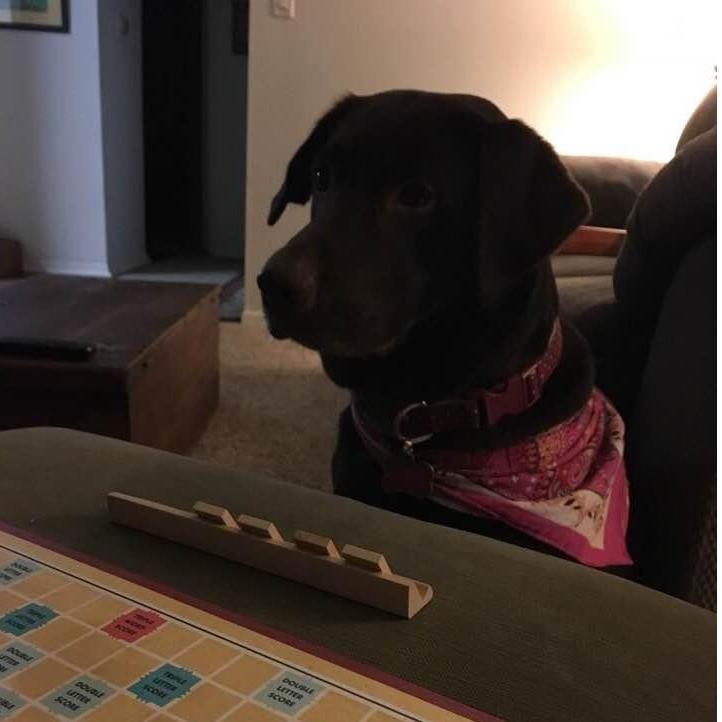 Family Scrabble nights