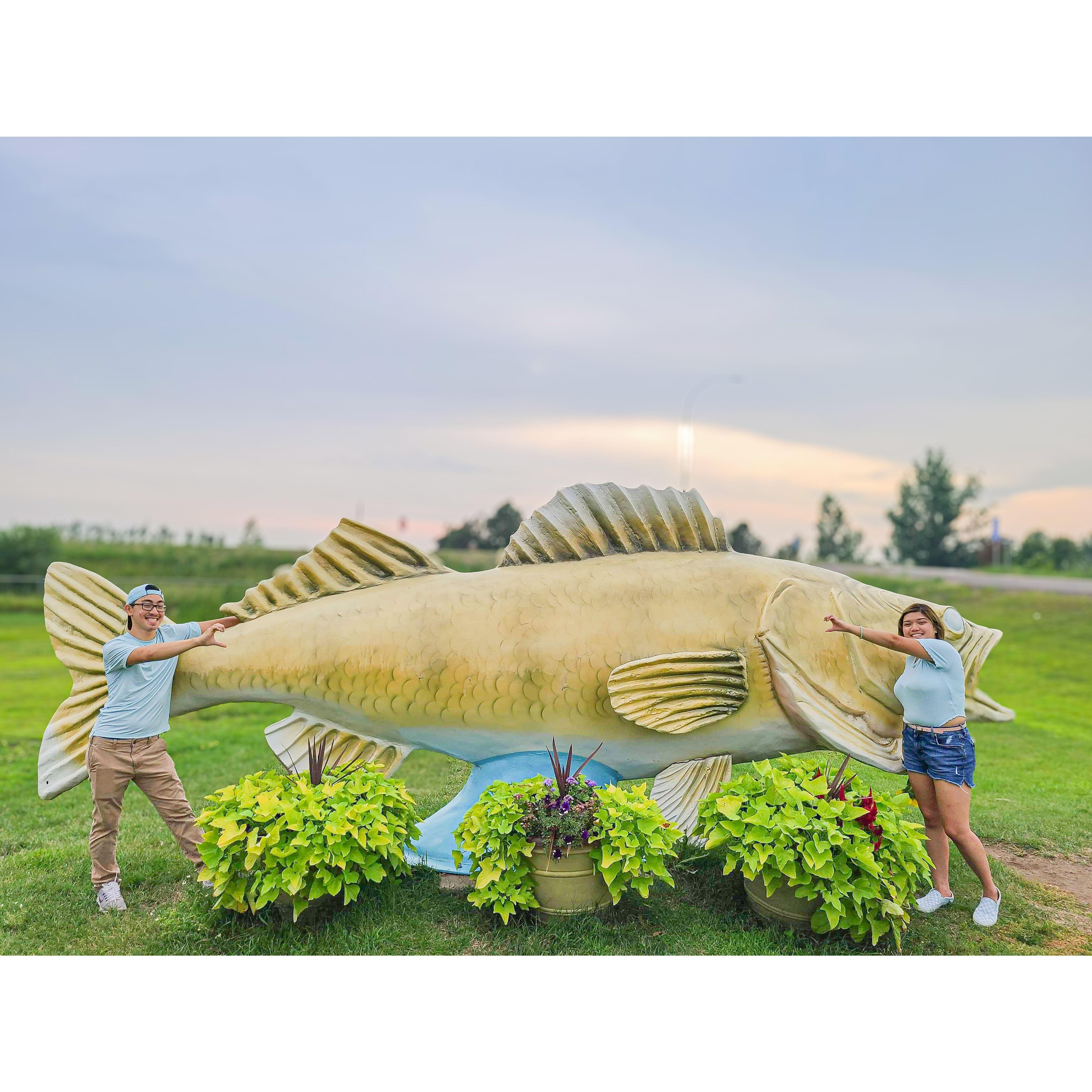 we love Fishes :3