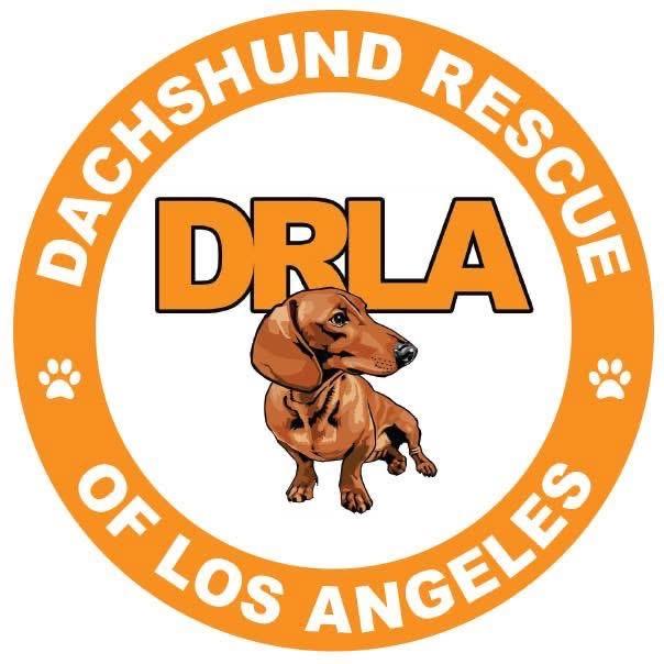 Donate | Dachshund Rescue of Los Angeles