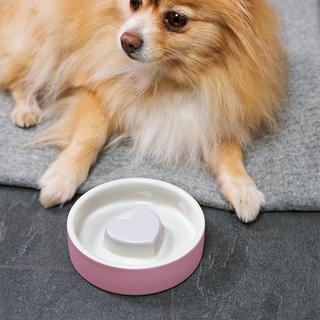 Pet Bowl