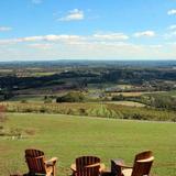 Bluemont Vineyard