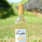 Pindar Vineyards