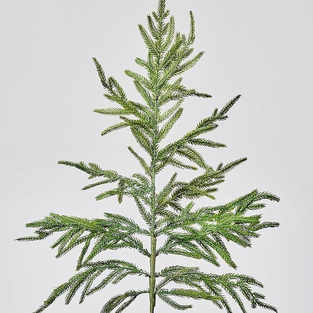 Afloral Real Touch Norfolk Pine Branch - 36"