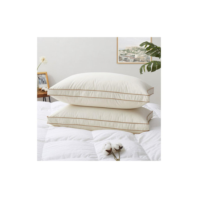Puredown 100% Organic Cotton Down Feather Gusseted Bed Pillows Set of 2, Pillow-in-a-pillow design, Gusset, Queen