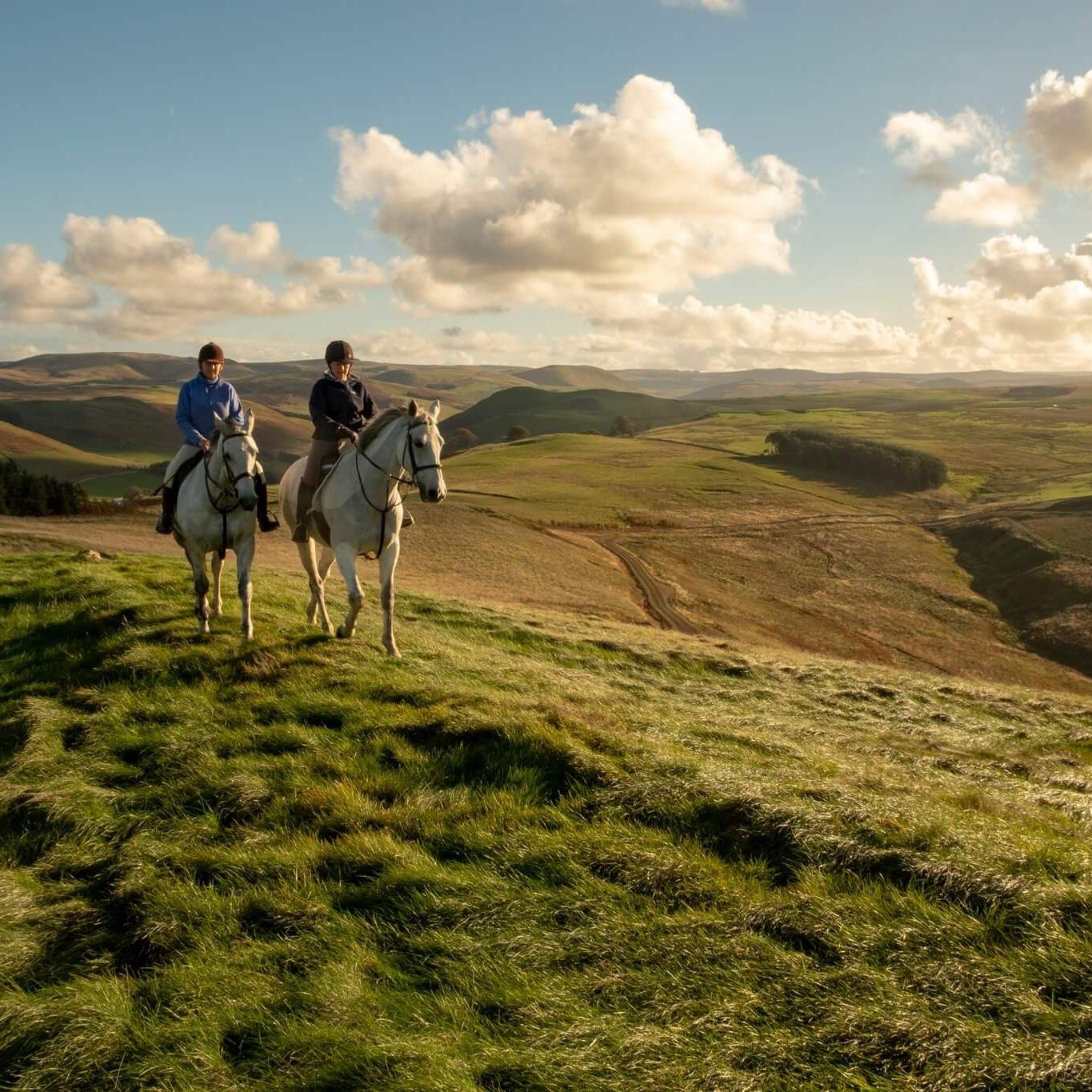 Honeymoon Horseback Riding