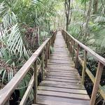 Lekki  Conservation Centre