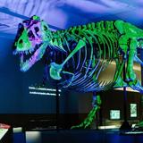 Field Museum