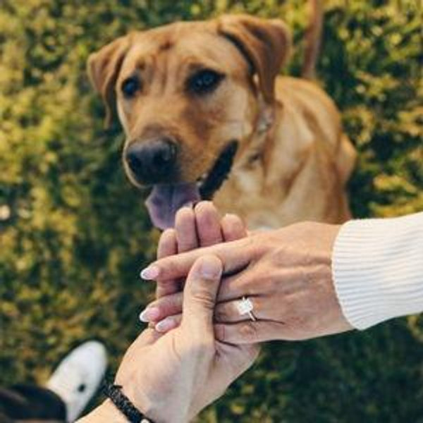 Our newlywed fund