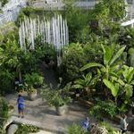 Myriad Botanical Gardens