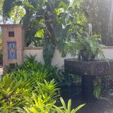 Florida Botanical Gardens