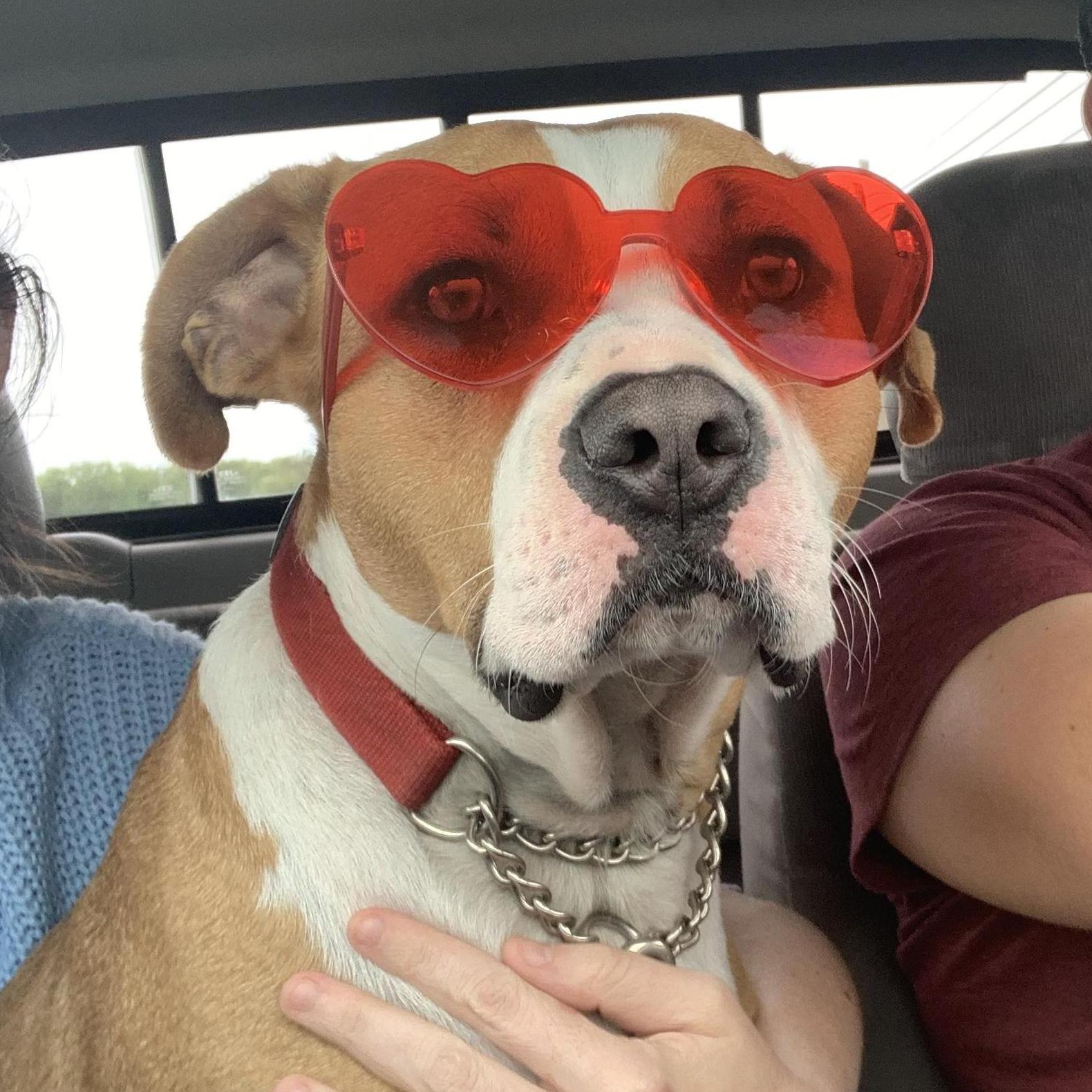 Bogart feeling the LOVE