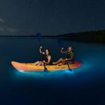 Bahía Bioluminiscente