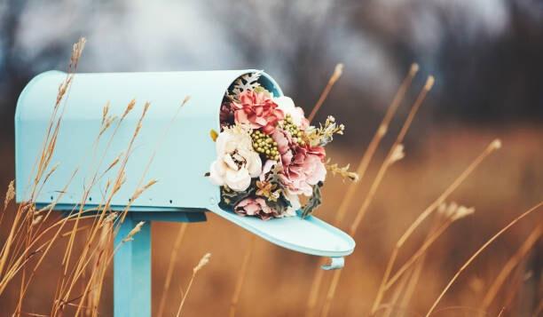 The Wedding Website of Marissa Bailey and Kyle Hulsebus
