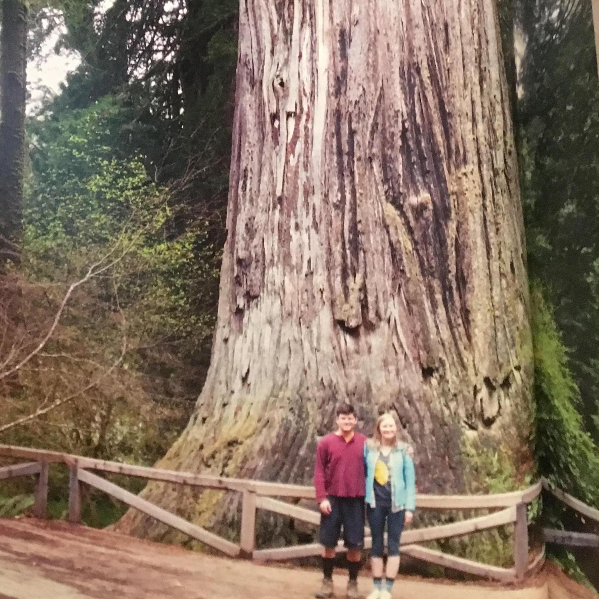 Camping in the Redwoods - Spring Break 2015