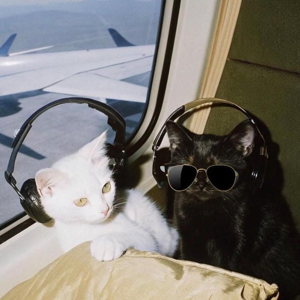 Round Trip Plane Tickets