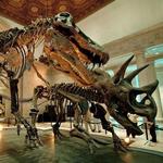 Natural History Museum of Los Angeles County