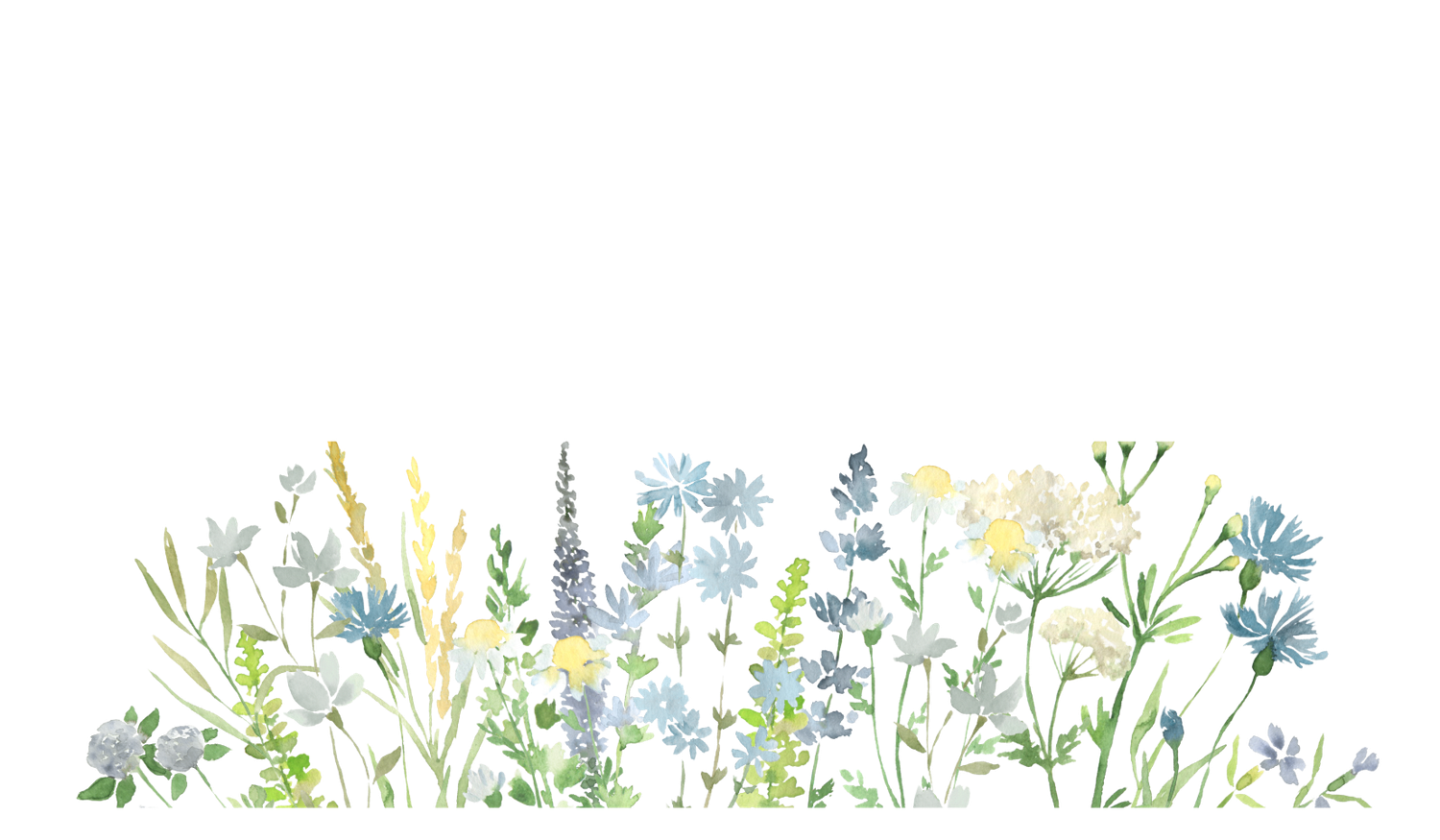 Footer image