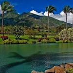 Maui Tropical Plantation