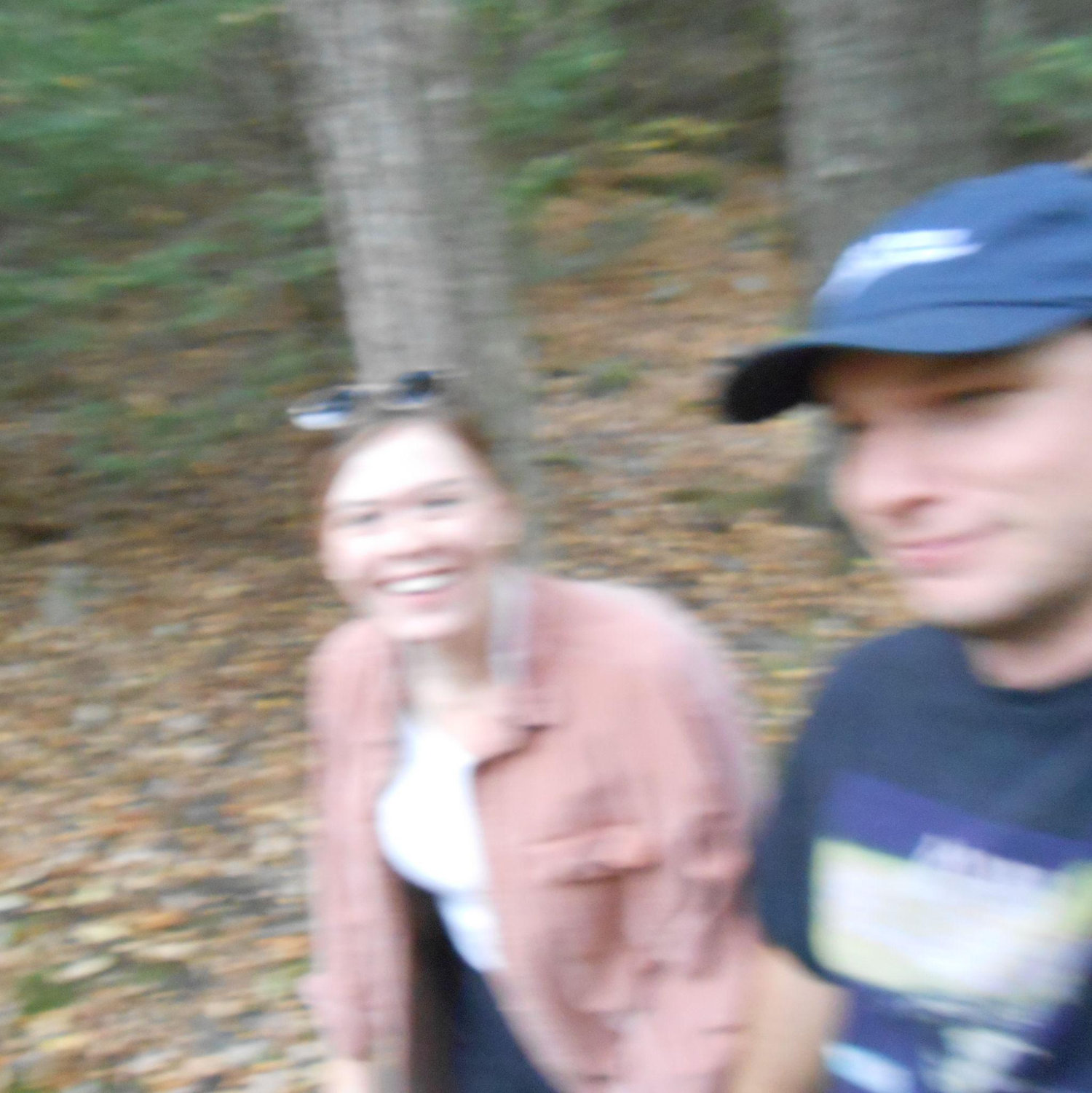 A very blurry picture in the woods