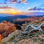 Cedar Breaks National Monument