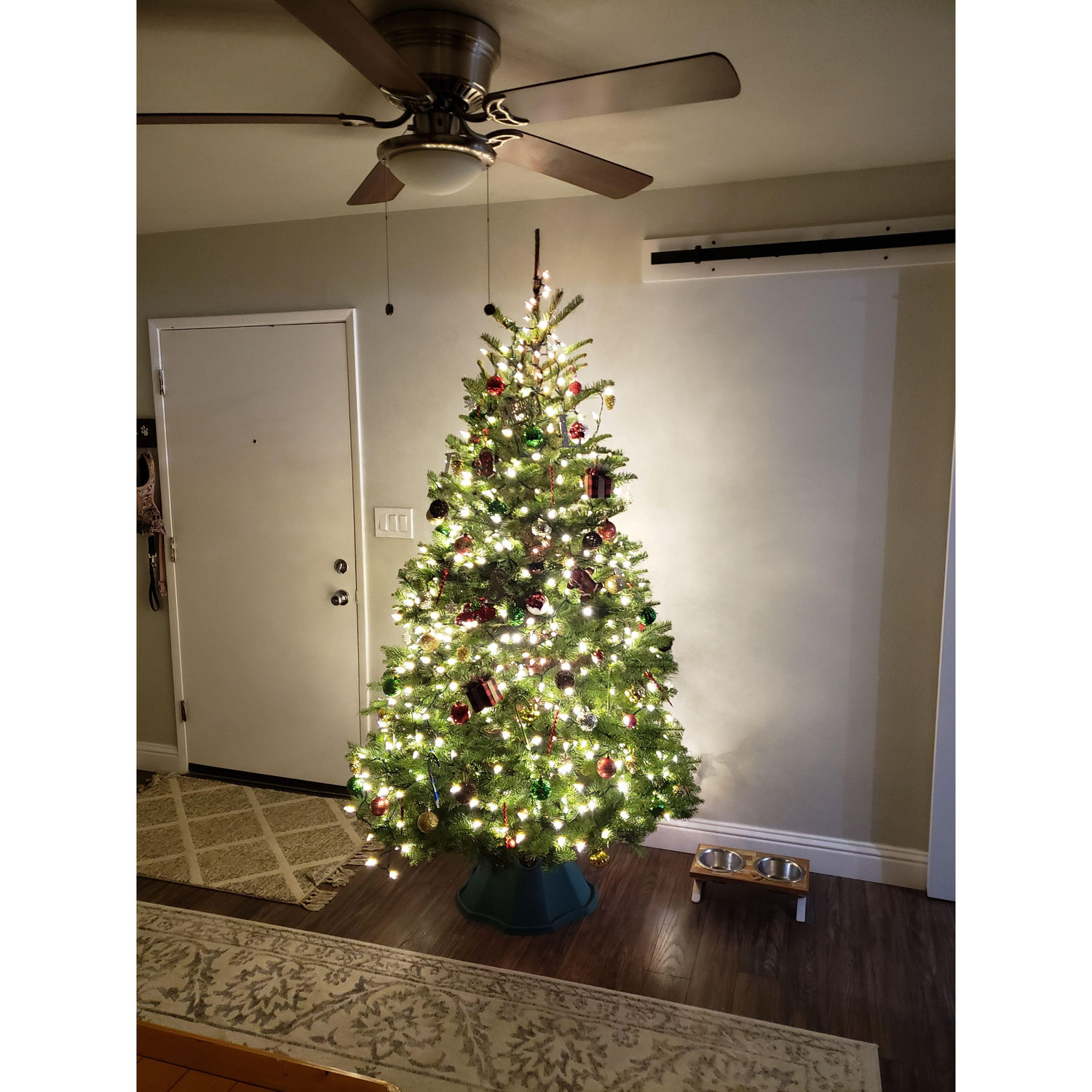 2020 - Our first Christmas tree .. we have yet to find a tree as good as this one!