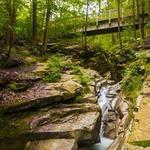 Seven Tubs Nature Area