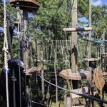 The Swamp Park