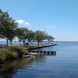 Shoreline Park ( Sandusky )