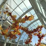 Chihuly Garden and Space Needle