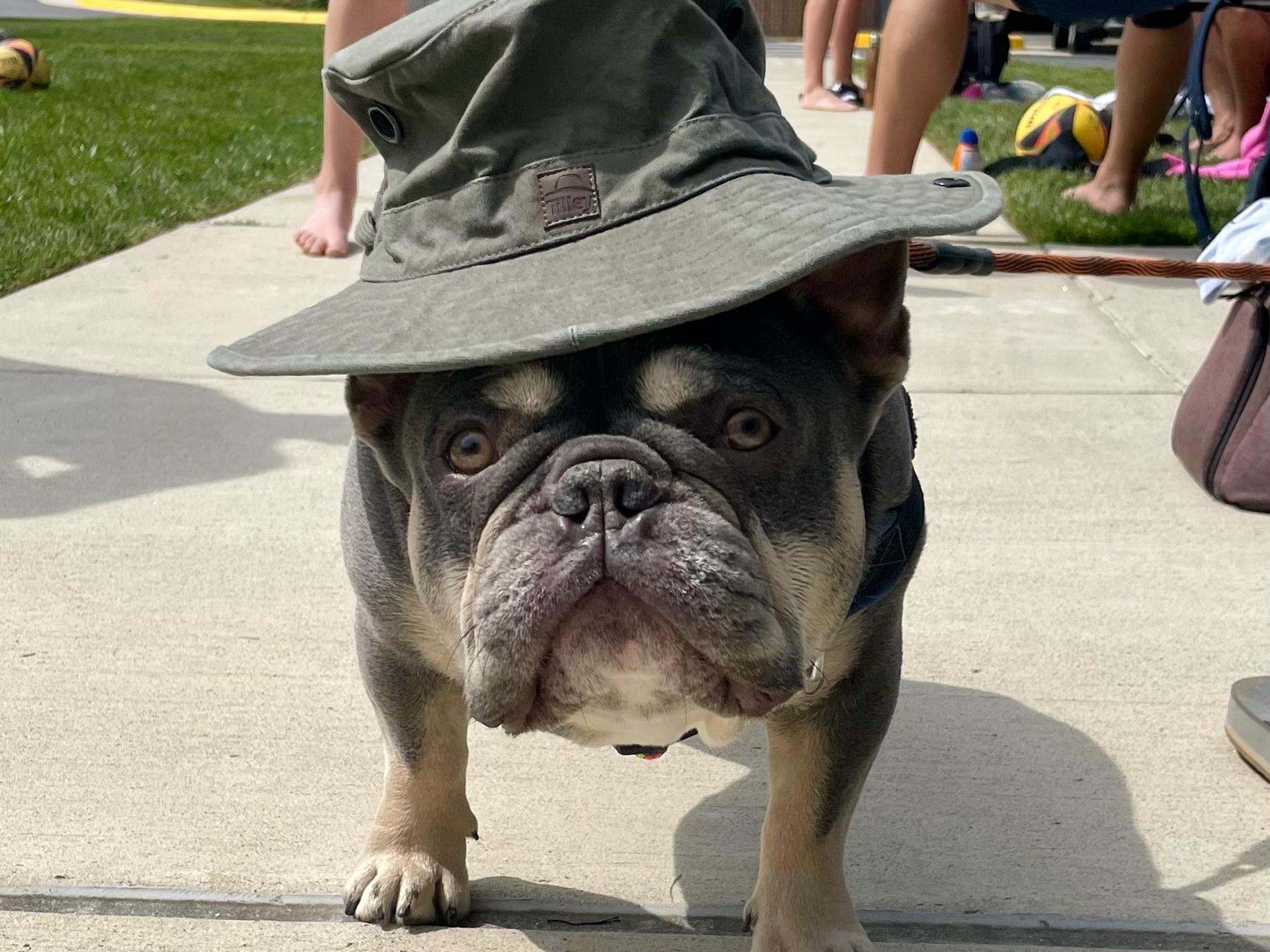 The Wedding Website of Abi Lee and Colin Shaw