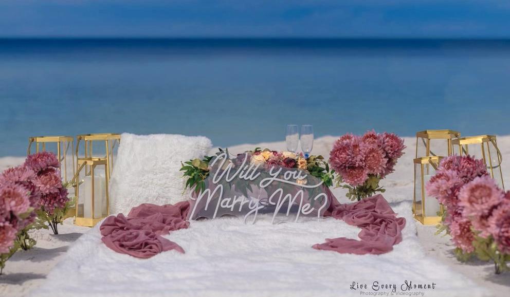 The Wedding Website of Sara Dervishi and Harel Hunt