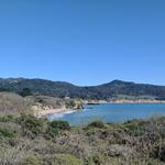Año Nuevo State Park