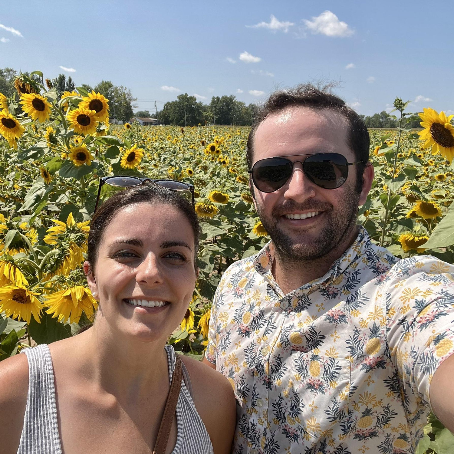 Sunflowers of Sanborn, 2021